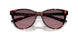 201209 - Tortoise - Rose Gradient