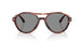 623402 - Tortoise - Blue
