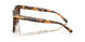 608913 - Tortoise - Gradient Brown