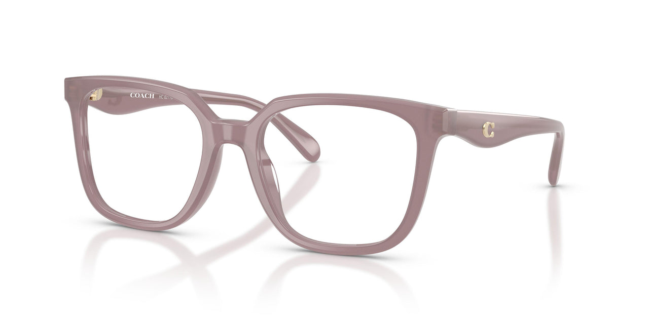 5495 - Brown