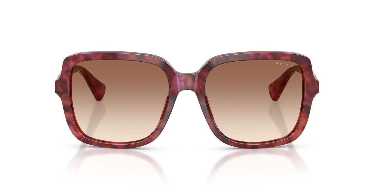 623913 - Violet - Light Brown Gradient