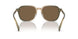 579773 - Transparent Green Tan Gradient - Brown Solid