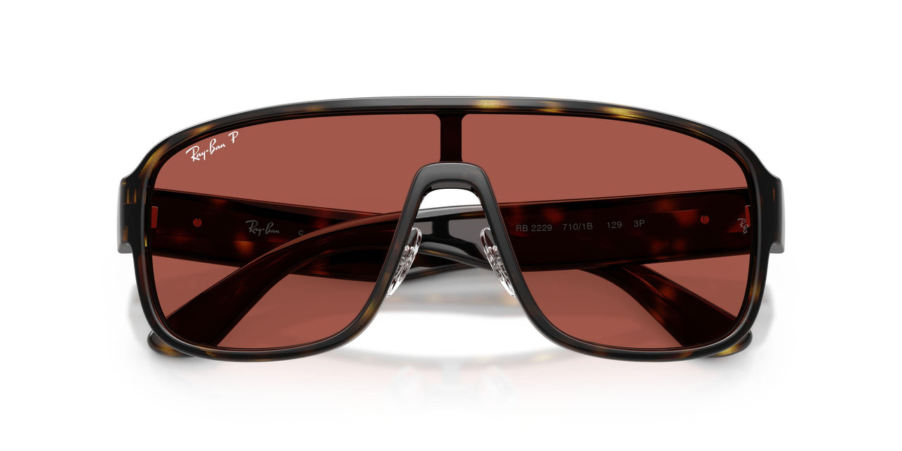 710/1B - Tortoise - Red Urban Redwood Polarized S