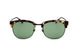 C2 - TORTOISESHELL