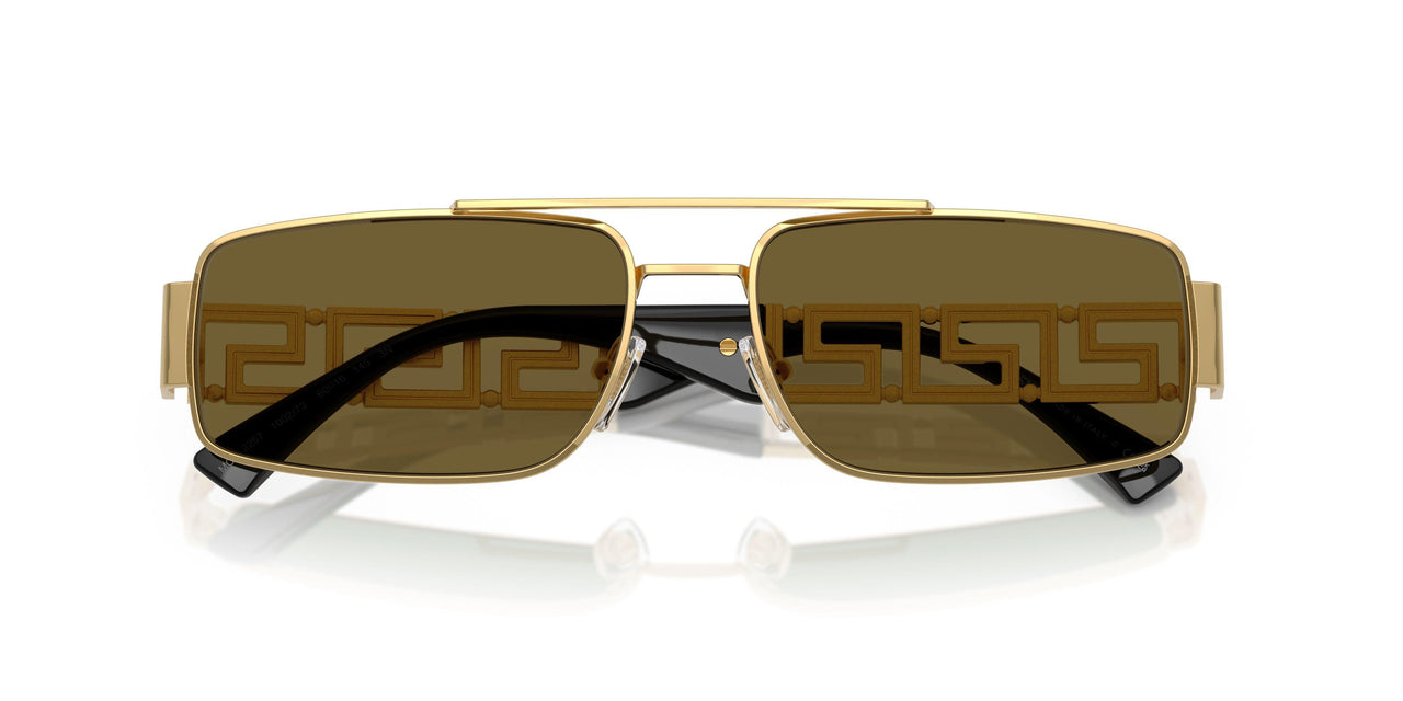 100273 - Gold - Dark Brown
