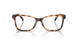5303 - Tortoise
