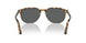 1130B1 - Multi - Dark Smoke