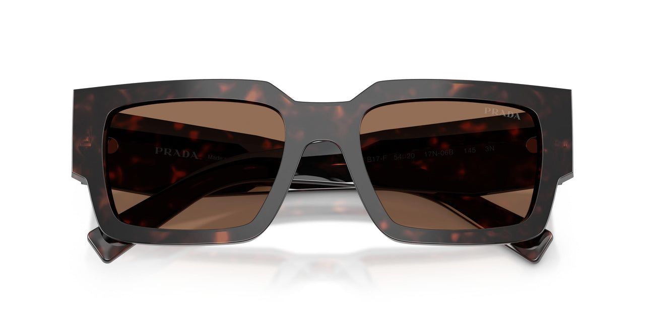17N06B - Tortoise - Dark Brown