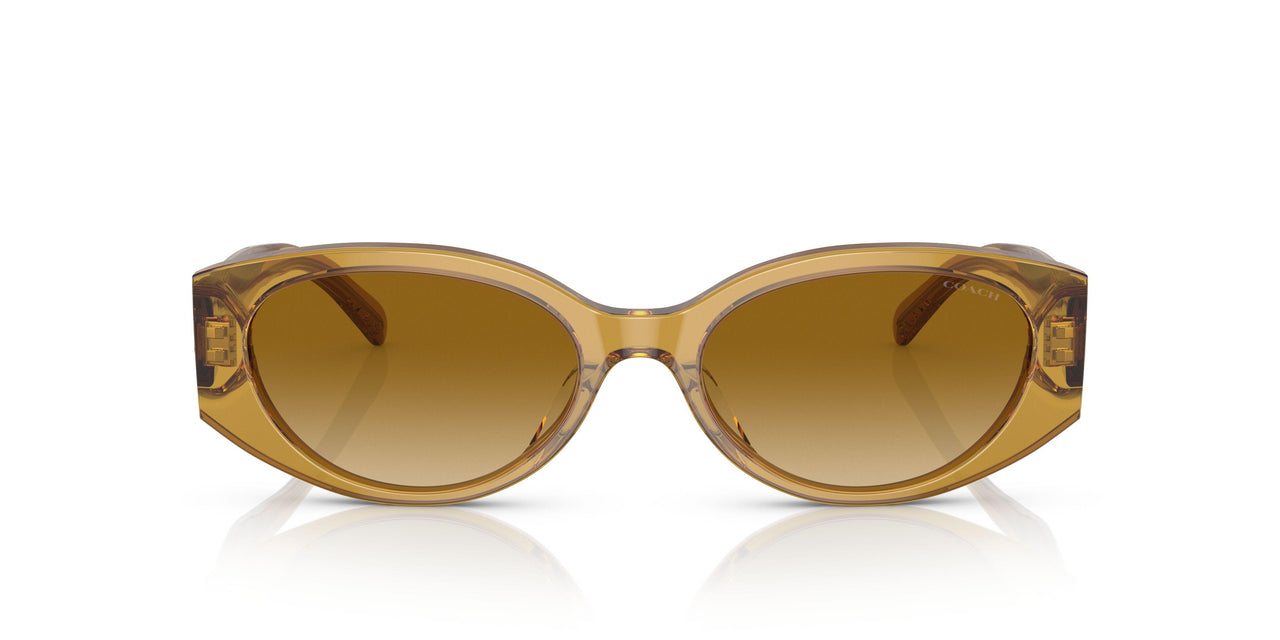 57152L - Honey - Yellow Gradient