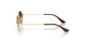 223/13 - Gold - Light Brown Gradient Dark Brow