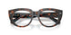8401 - Tortoise - Clear