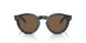 562573 - Multicolor - Brown