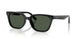 Ray-Ban 2243D Sunglasses