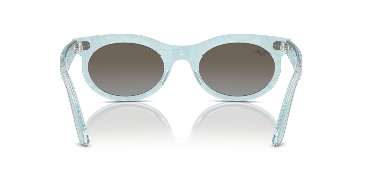 138596 - Light Blue - Blue Brown