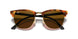 1160 - Havana - Brown