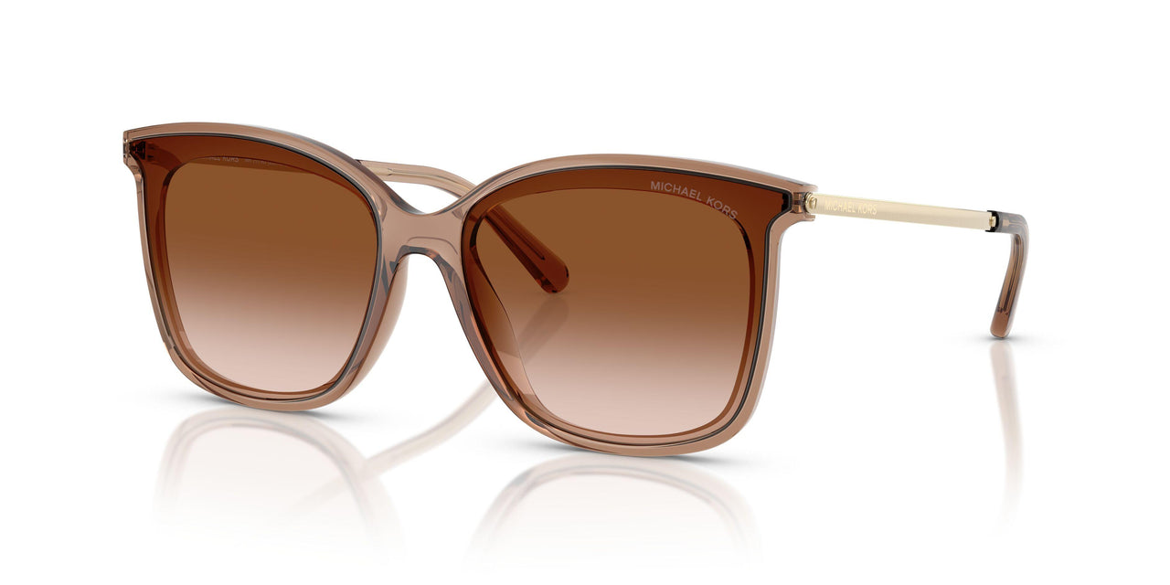 39383B - Brown - Brown Gradient