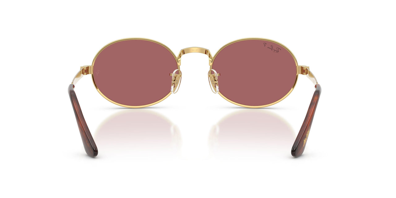 001/AF - Gold - Purple Polarized