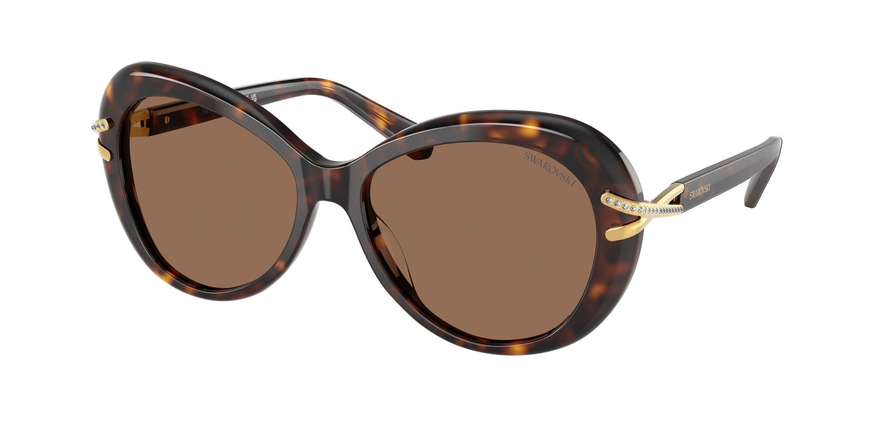 100273 - Tortoise - Dark Brown