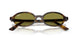 1359/2 - Tortoise - Green