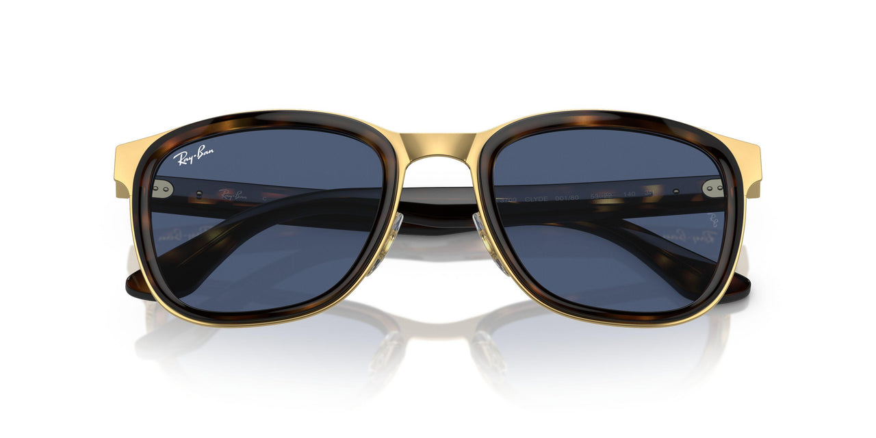 001/80 - Tortoise - Dark Blue
