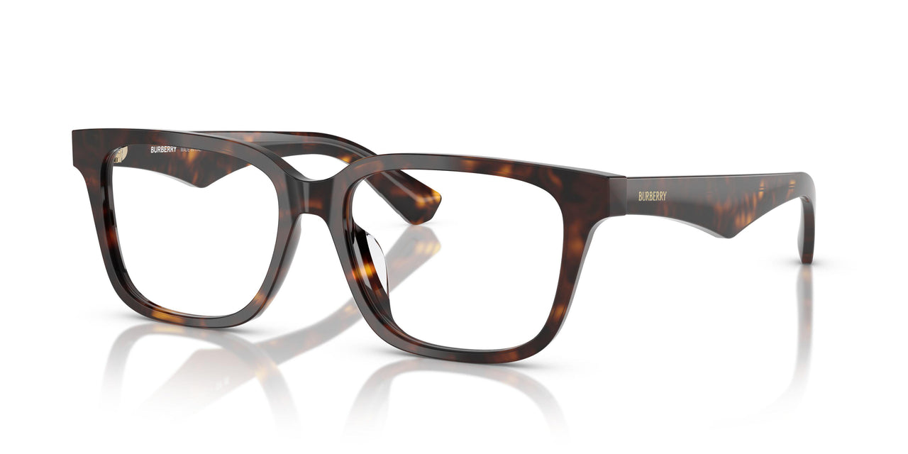 3002 - Brown