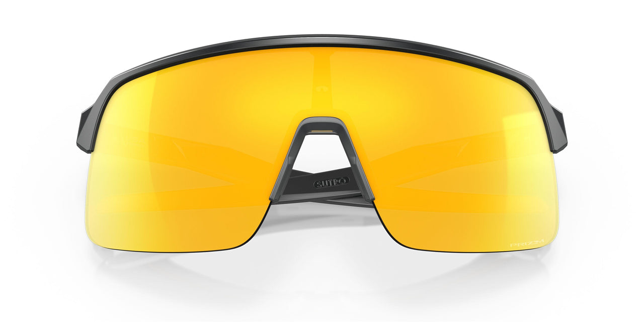 946313 - Grey - Prizm 24k