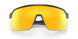 946313 - Grey - Prizm 24k