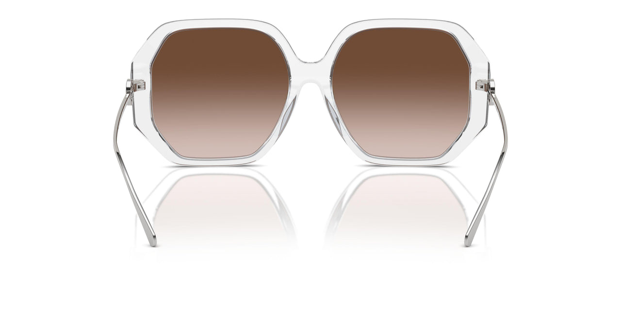 197913 - Transparent - Brown Gradient