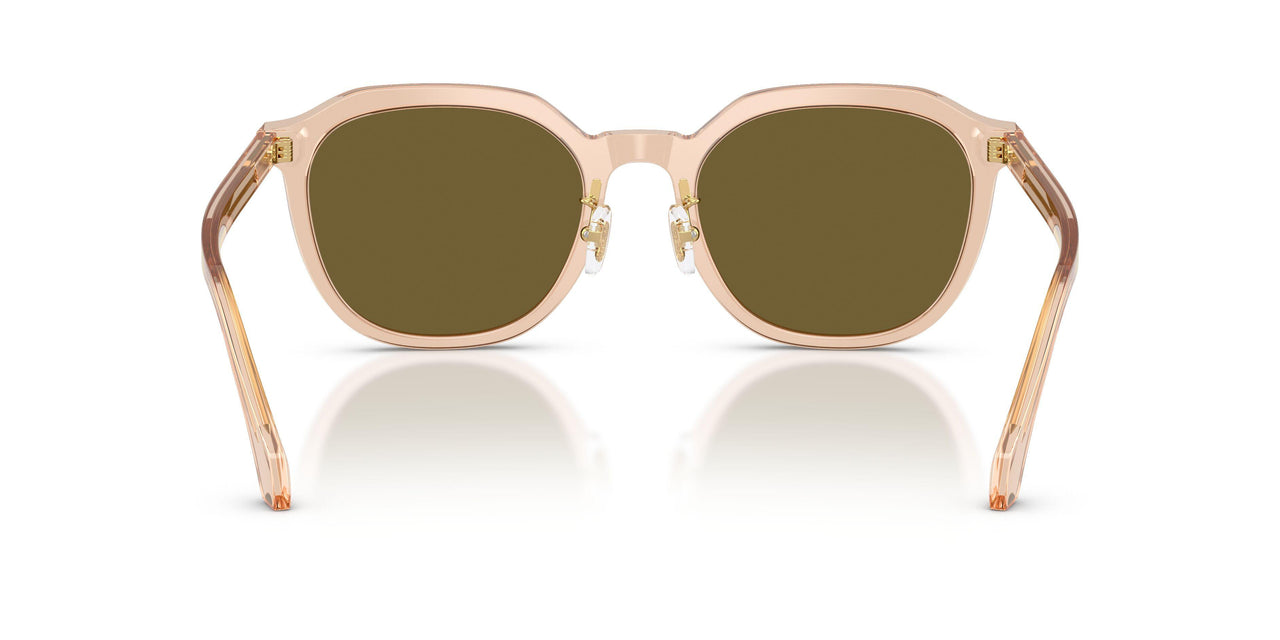 551883 - Brown - Dark Brown