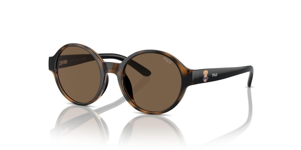500373 - Brown - Brown