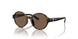 500373 - Brown - Brown