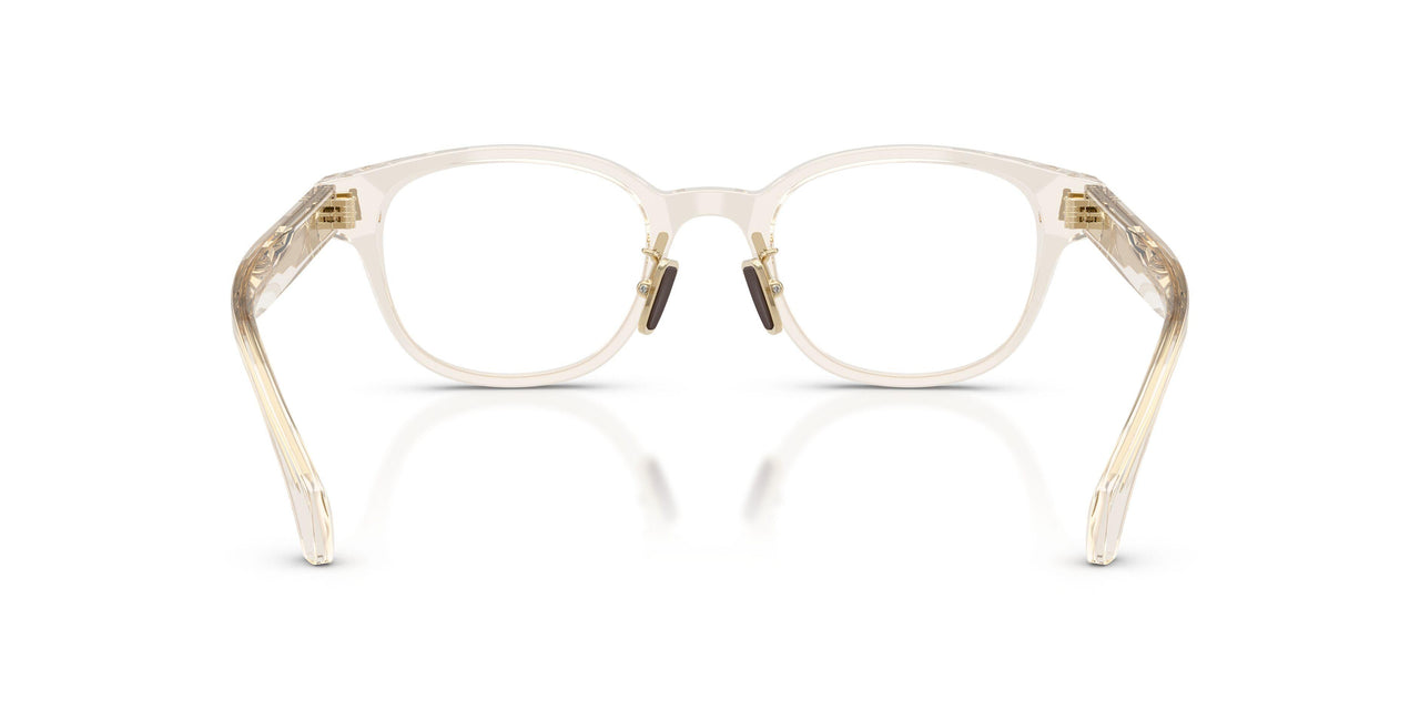 3003 - Brown