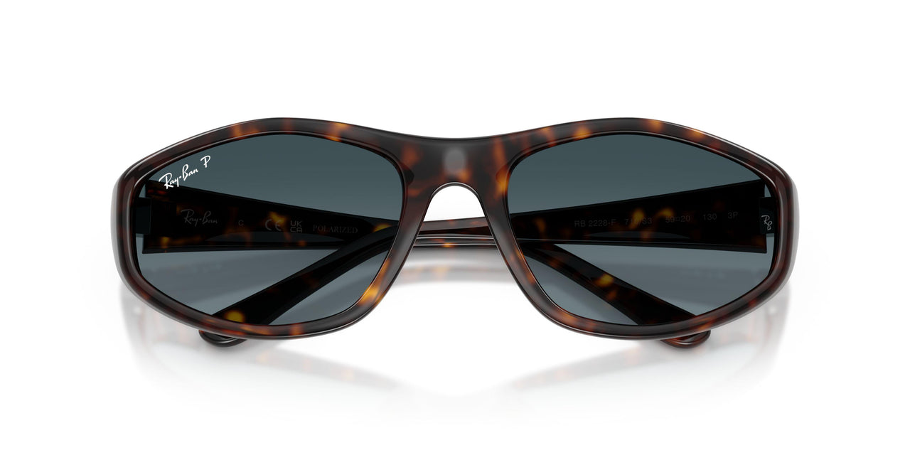 710/S3 - Tortoise - Polarized Light Blue Gradient