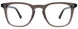 20 - Transparent Grey & Brown Tortoise