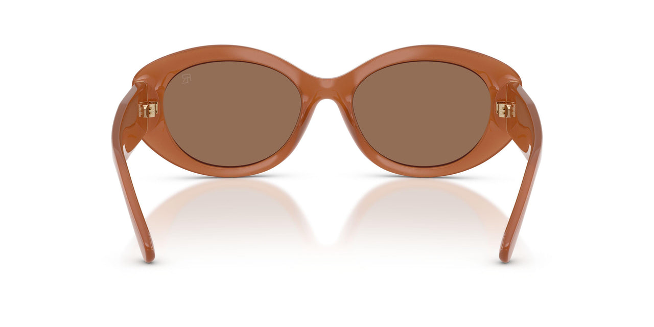624473 - Orange - Brown