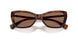 614973 - Tortoise - Brown