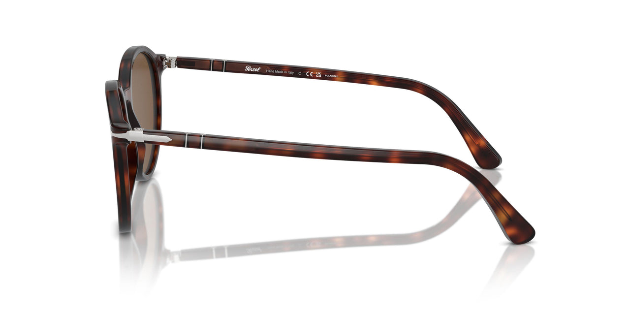 24/57 - Tortoise - Polar Brown