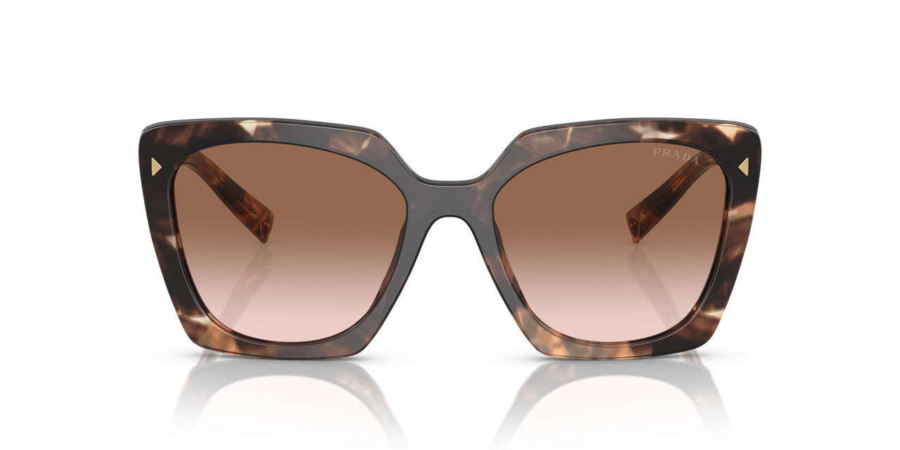 07R0A6 - Tortoise - Brown Gradient