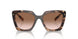 07R0A6 - Tortoise - Brown Gradient