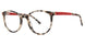 550 - Cream Tortoise