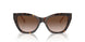 587913 - Tortoise - Gradient Brown