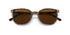 135757 - Havana - Brown Polar