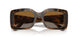 2386T5 - Havana - Polar Grey Gradient Brown