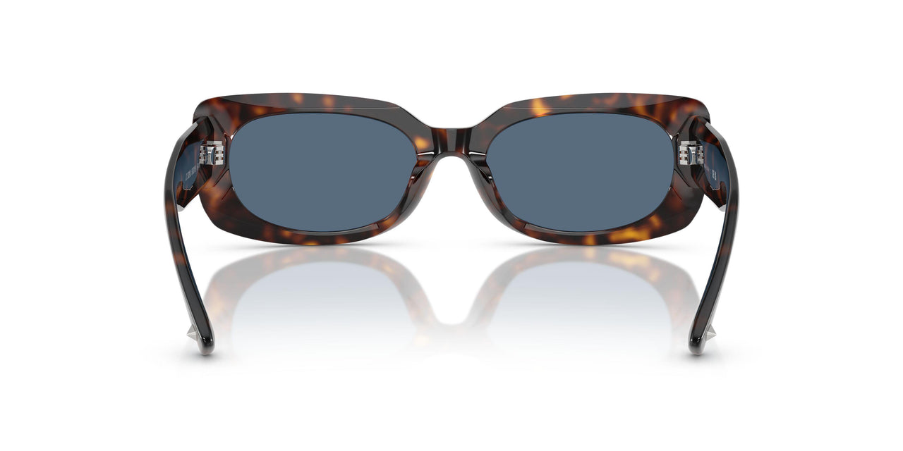 500280 - Tortoise - Dark Blue