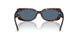 500280 - Tortoise - Dark Blue