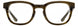 Adin Thomas AT676 Eyeglasses