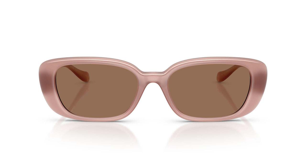 553573 - Pink - Dark Brown