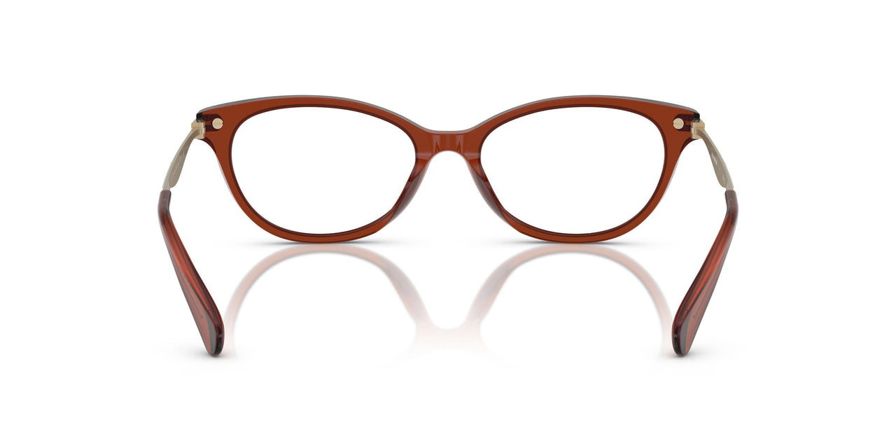 5847 - Brown
