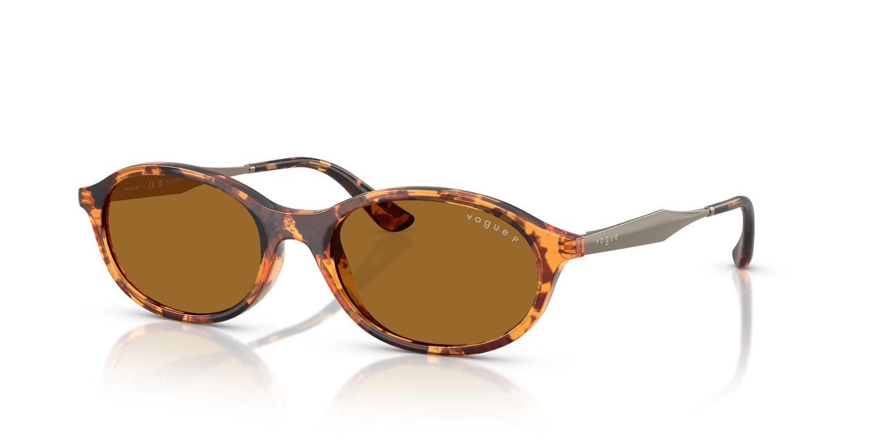 320083 - Tortoise - Bronze Polar