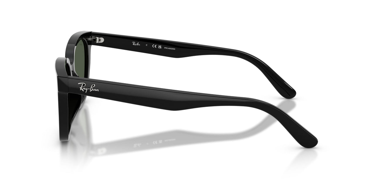 901/9A - Black - Polarized Dark Green